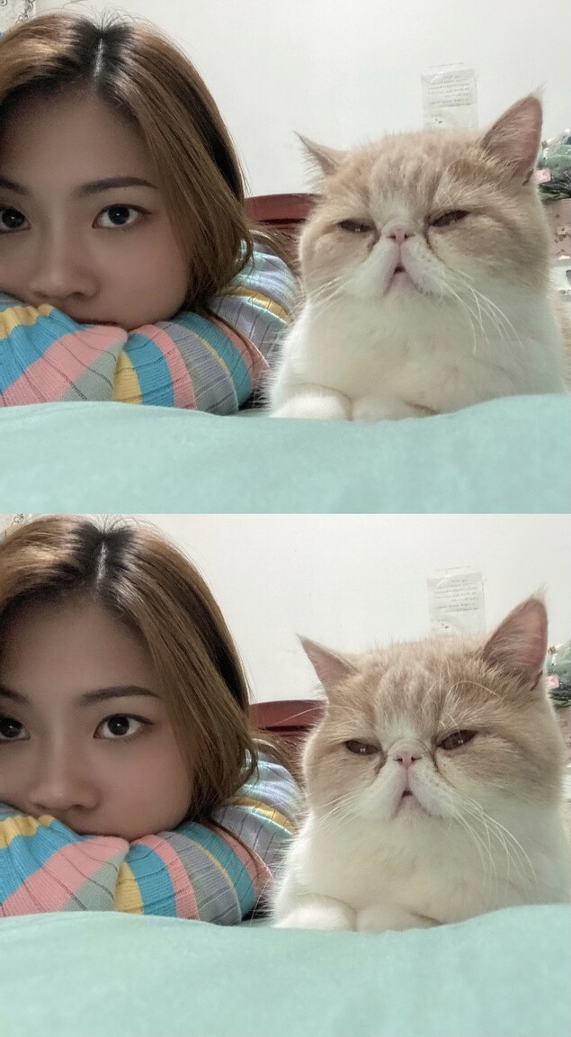 wangjing international dating is