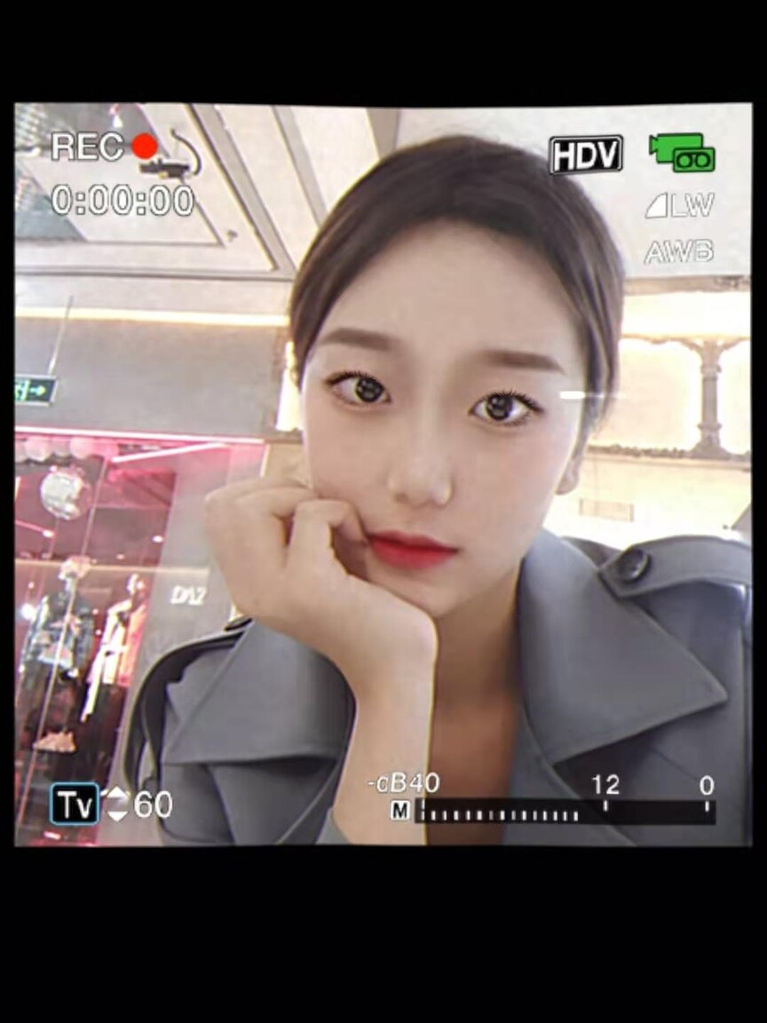 pansimin international vegan dating