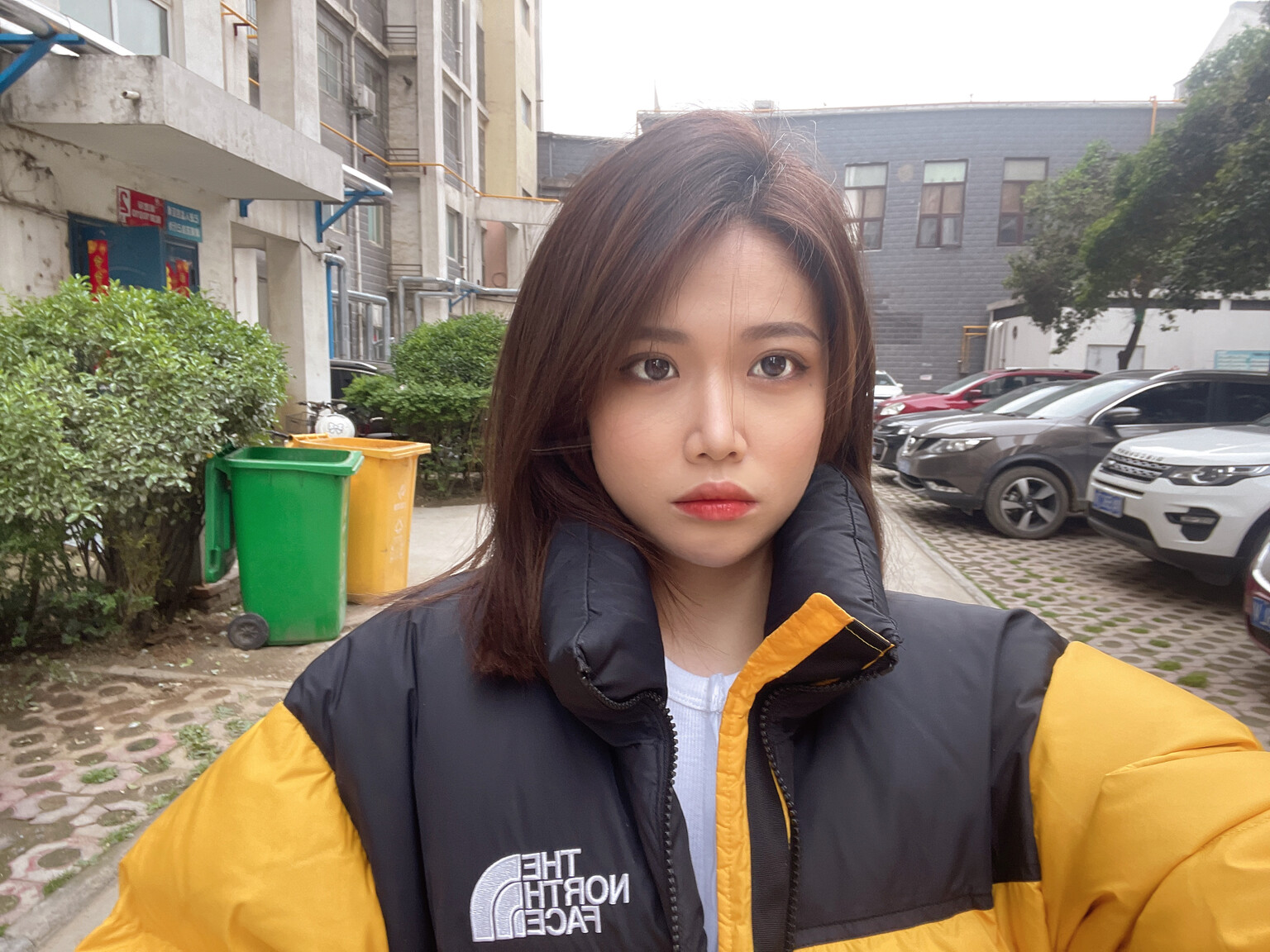 wangzhuwen rose brides dating site